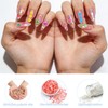 10000 pcs (20 Styles) Fruit Clay Slices, VEINARDYL Nail Art