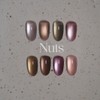 Pov Nuts 8-piece set magnetic gel / 포브 넛츠 8종