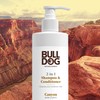 Bulldog Mens Skincare and Grooming 2-in-1 Shampoo and Conditioner, Canyon,