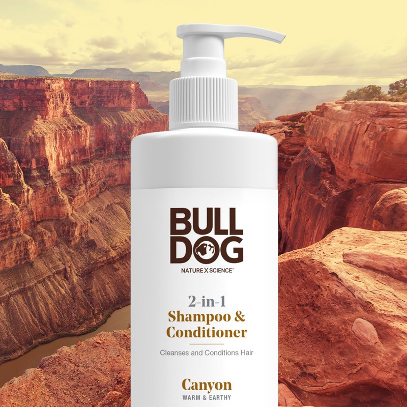 Bulldog Mens Skincare and Grooming 2-in-1 Shampoo and Conditioner, Canyon,