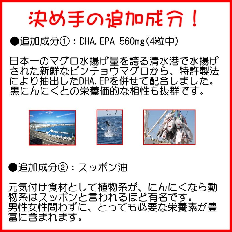 黒 にんにく卵黄 黒酢 120粒 初回限定 大地の宝 国産 無臭 熟成 黒酢にんにく