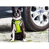 Canine Friendly - Arnés para Chaleco con ventilación, tamaño Grande,