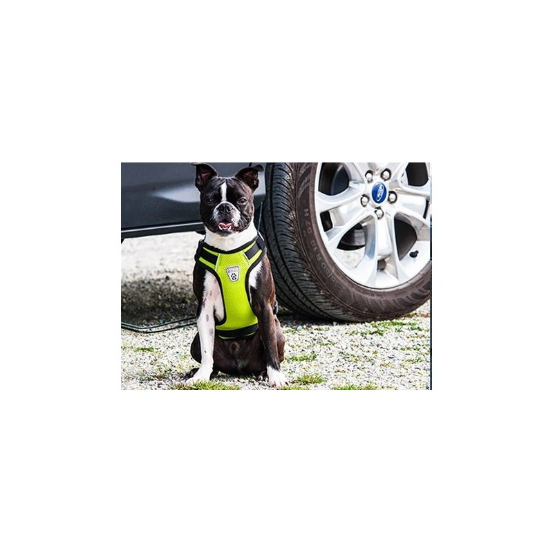 Canine Friendly - Arnés para Chaleco con ventilación, tamaño Grande,