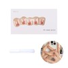 _ Nail tip nail parts R612 / _붙이는 네일팁 네일파츠 R612