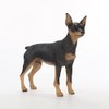 Conversation Concepts Miniature Pinscher, Black and Tan Figurine