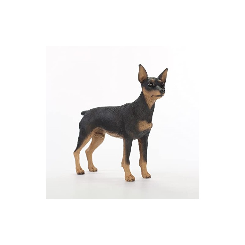 Conversation Concepts Miniature Pinscher, Black and Tan Figurine