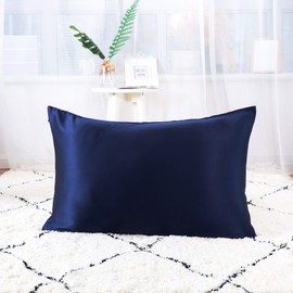 Ethlomoer 1 x 100% Natural Pure Silk Pillow Case for Hair and Skin 19 Momme Double Sided 600 Thread Count Hidden Zipper Design