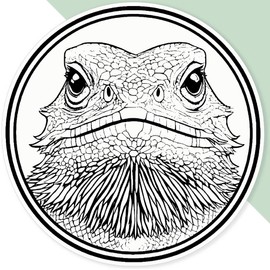Extra Large 460mm 'Bearded Dragon in Circle Frame' Permanent Sticker Decal for Cars/Windows/Bins/Walls (DW00132827)