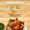 Shan - Chicken Tikka Seasoning Mix (50g) - Seasoning Packets