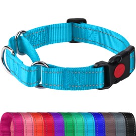 Joytale Martingale Collar for Dogs, Reflective Heavy Duty Dog Collar for Safety, Quick Release Buckle, Adjustable Nylon Collars for Puppy Dogs Walking Training, Sky Blue,XS