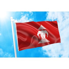 DMSE Old Laos Elephants Laotian Lao Republic Historic 1952 1975 Flag 3X5 Ft Foot 100% Polyester 100D Flag UV Resistant (3' X 5' Ft Foot)