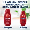 Schauma Schwarzkopf Colour Protection Conditioner Colour Shine (3 x 250