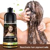 Herbishh Light Brown 3 in 1 Hair Dye Shampoo 500