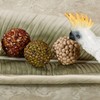 Cockatoo Palm Leaf Decorative Tray White
