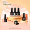 MEET ACROSS Gel Nail Polish Set, 6 Colors Cat Eye