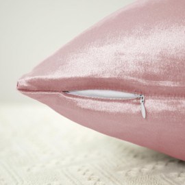 Counfeisly 2 Pack Pink Velvet Pillow Covers, 24x24 Inches Decorative Cushion Covers for Couch Sofa Bed, Super Soft and Cozy Luxury, Zippered Design