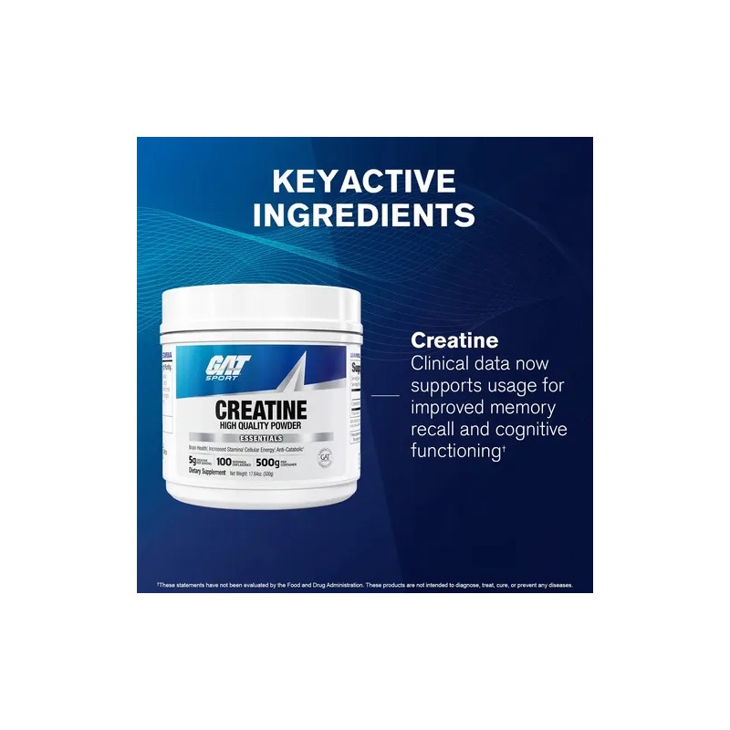 Suplemento en polvo GAT Creatina x 500g