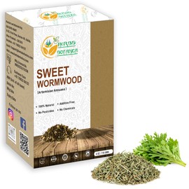 Herbs Botanica Sweet Wormwood Herb Tea Loose Leaf Artemisia Annua/Qinghao Sweet Annie Wormwood Loose Leaves Herbs Non GMO Dried 100% Guaranteed Authentic4 oz