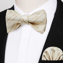 HISDERN - Pajaritas de lazo para hombre, corbata de lazo a rayas para hombre, pañuelo formal de esmoquin para boda, corbatín y bolsillo cuadrado, 01-champán, Talla única