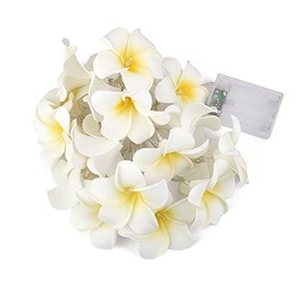 LEDMOMO Lichterkette mit 20 LEDs, Frangipani-Blume, batteriebetrieben, warmweißes Licht