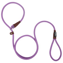 PetiFine Slip Lead Dog Leash,6FT x 3/8" Reflective Durable Dog Training Leash, Heavy Duty Adjustable Nylon Dog Rope Leash Slip Leash for Small Medium Large Dogs (Purple)