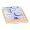 Viquel - Propysoft A4 Document Folder 120 Images (60 Pockets)