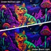 WEBEEDY Cute Cat Glow in The Dark Tapestry Fantasy Mushroom