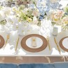 MAONAME Faux Rattan Charger Plates Set of 6, Table Chargers