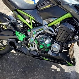 ZESIDIMO FootPeg Hintere Fußstütze Set Für Z900 Z 900 2017-2023 2024 Motorrad Fersen Platten Schutz Protektor Zubehör CNC Aluminiumlegierung (Grün)
