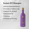 Hayashi 911 Shampoo, 10.1 Fluid Ounce