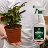 Yield RX Ready-to-Use 32oz Neem Oil Spray with Peppermint for