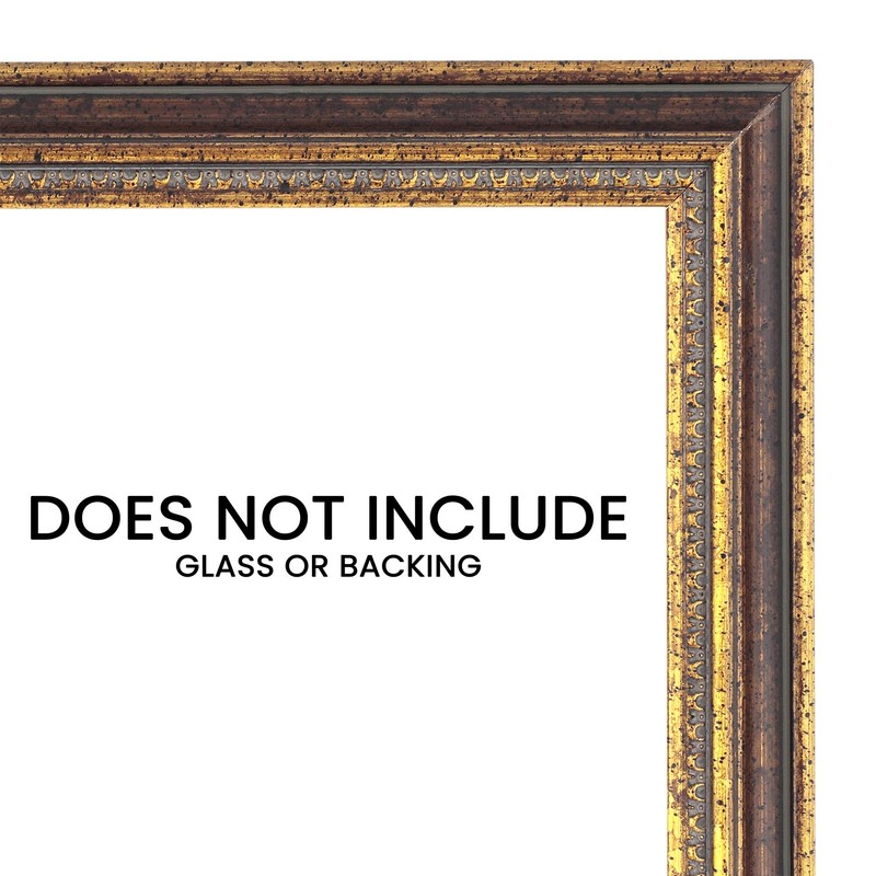 Imperial Frames Stratford Collection 9x12" Antique Bronze Neoclassical Wood Frame,