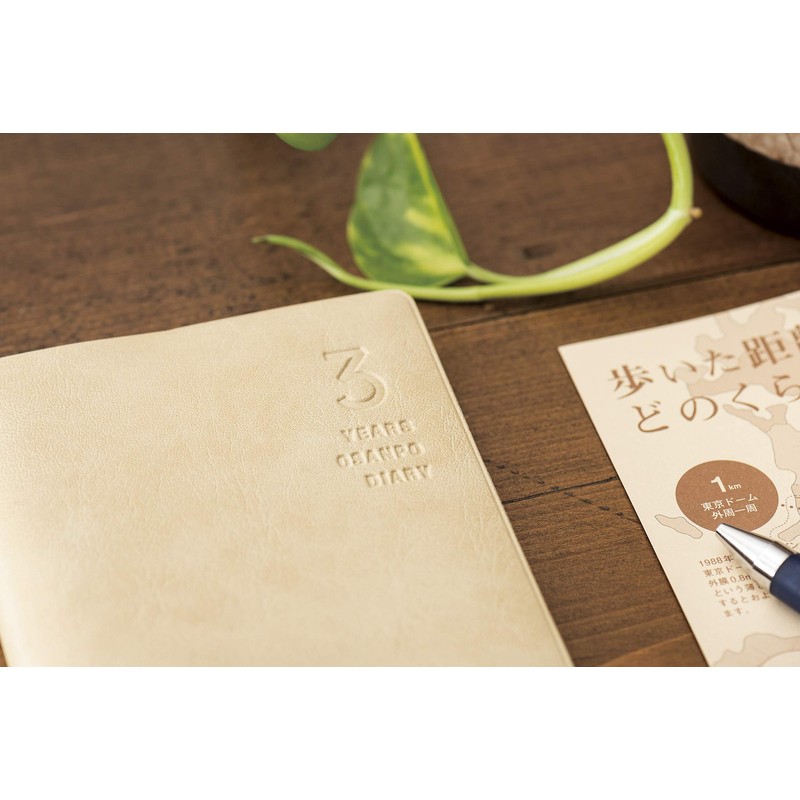 3 year walking diary