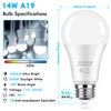 LED Light Bulbs 100 Watt Equivalent 1600 Lumens, A19 14W