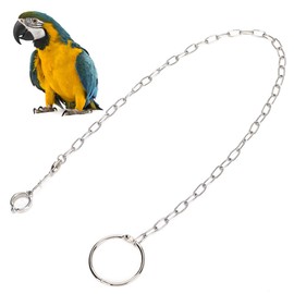 Parrot Foot Chain, Stainless Steel Split Foot Chain Training Anklet Ring for Birds Parrots Outdoor Parrot Ankle Foot Ring Accessories Bird Harness Leash Prevent Escaping