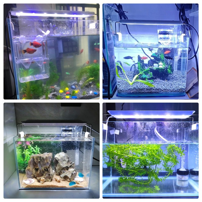LEDGLE Aquarium Light, 8W, Aquarium Light, 11.8 - 15.7 inches