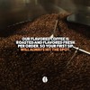 Fresh Roasted Coffee, Peanut Butter Cup, Flavored Coffee Pods, 72