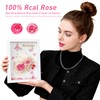 6.5”x8.5” Preserved Flowers Pink Rose Hydrangea Flower Frame with Butterfly