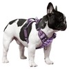 Timos Dog Harness,No-Pull Pet Harness Adjustable Soft Padded Dog Vest,Reflective