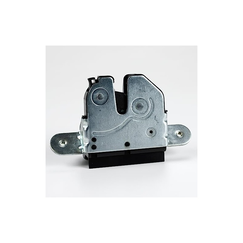 55702917 Tailgate Lock