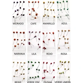 MKN 100 Paquetitos De Naturaleza Muerta Para Decoración De Uñas