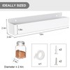 PMMASTO Adhesive Acrylic Spice Rack Organizer for Wall with Nano