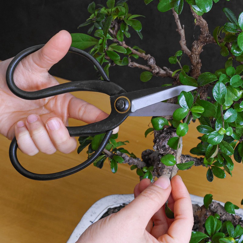 Professional Bonsai Butterfly Scissors | Pruning Shears for Trimming Plants