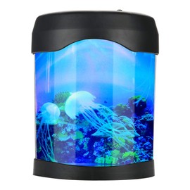 Gift Mini Fish Tank, Desk Aquarium, for Office Desk Bedroom Bar Home