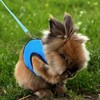 Rabbit Vest Harness Leash Lead Small Animal Pet Mesh Hamster