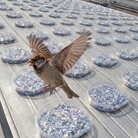 Qinyoung 50 Pack Bird Repellent Gel Trays (Gel Not Included) Clear PET Plastic Dishes with Holographic Reflectors for Outdoor Bird Deterrent, No Mess Application for Roof, Ledges, Beams, Signs