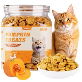 Wellix 13.5oz Healthy Cat Treats Pumpkin Flavor - Chicken Formula Kitten Snacks - Cat Constipation Relief Low Calorie Cats Biscuits