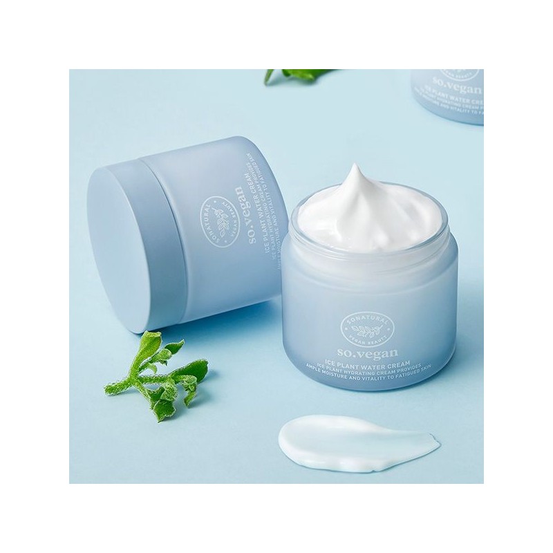 SO NATURAL Ice Plant Water Cream 70g