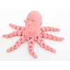 The Rocktopus Flexible Articulating 3D Printed Companion - Rock Dwayne