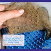 Allerpet Cat Dander Remover w/Free Pair of Grooming Gloves and